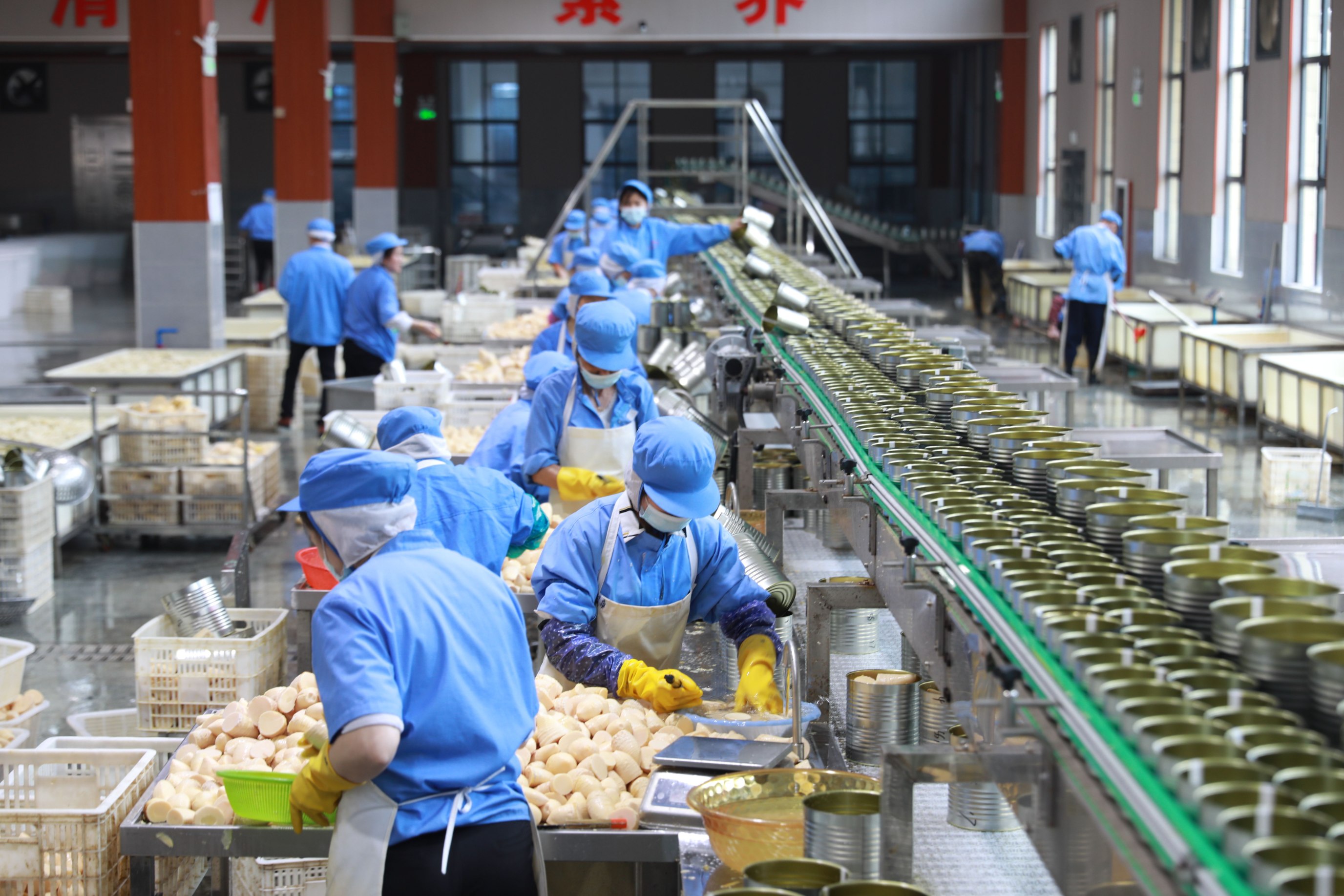 人行樂安縣支行 金融活水精準滴灌，助力竹筍產業融合升級